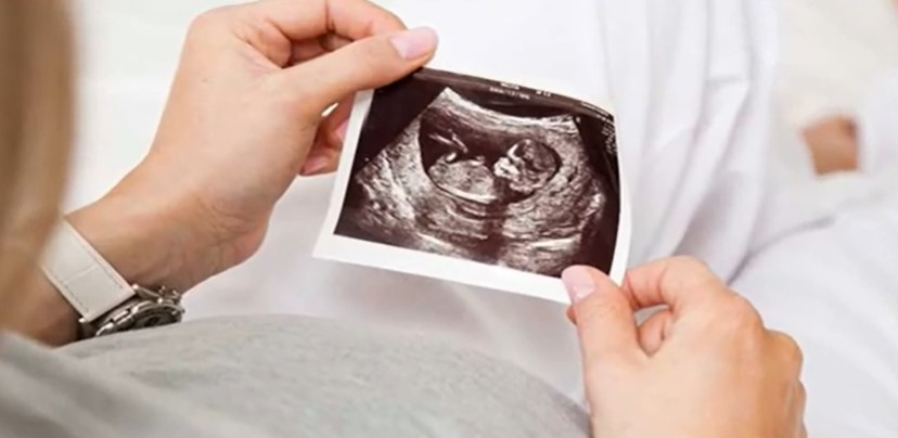 when to tell employer of pregnancy